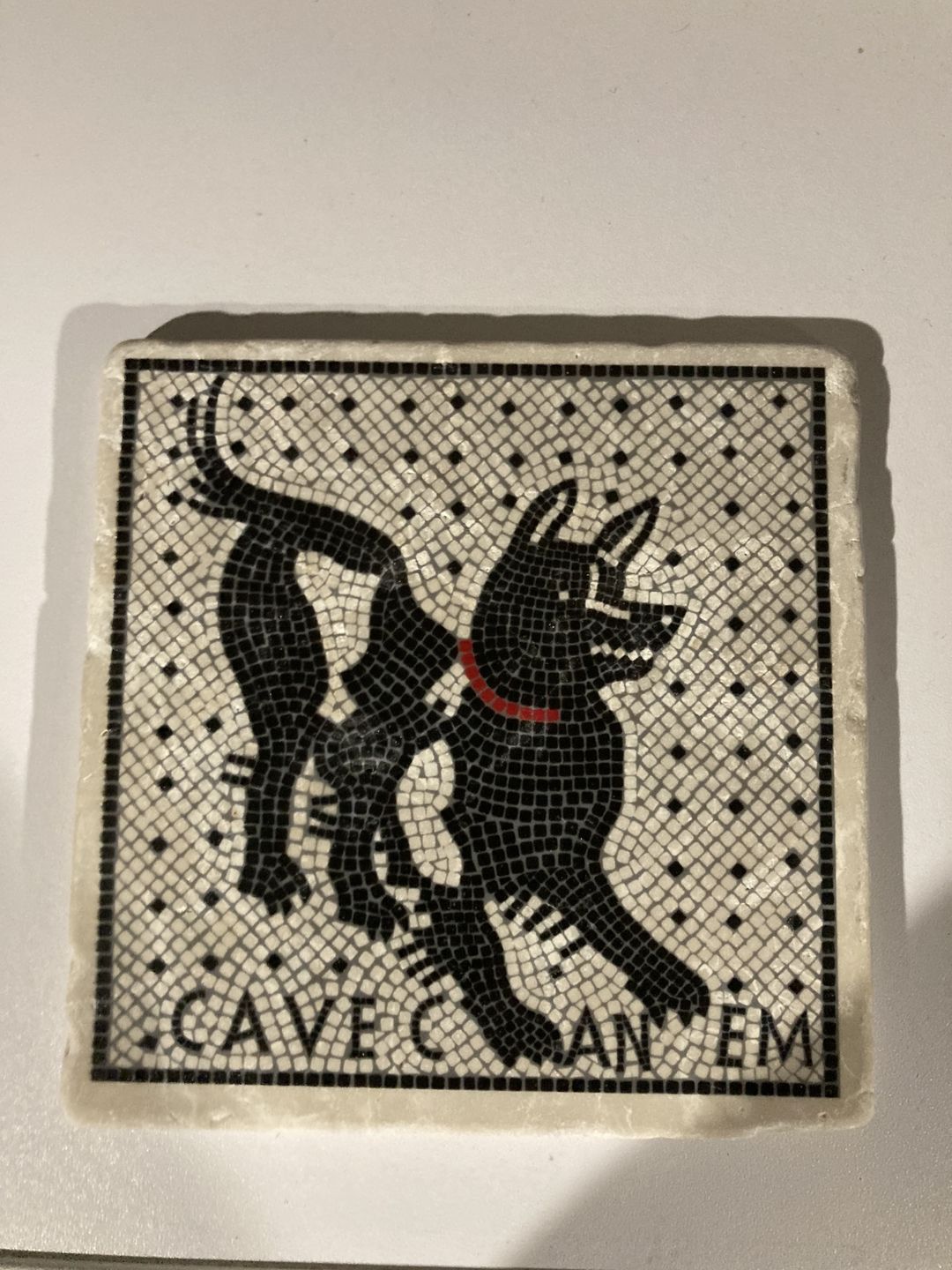 Customer photo review of Cave Canem mosaico di Pompei - mattonella in marmo