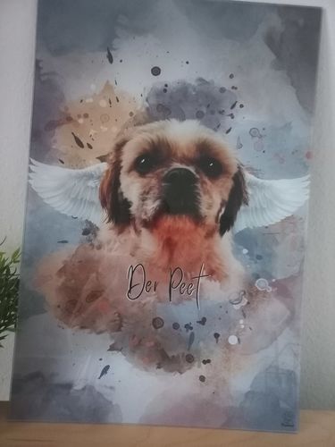 Customer photo review of Aquarell Pawtrait