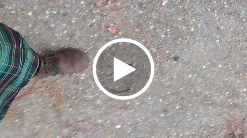 Customer video review of (Bearly-Used) Bruin