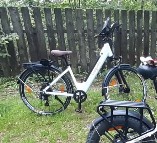 Customer photo review of Electric Trekking Bike T1 Step-Thru