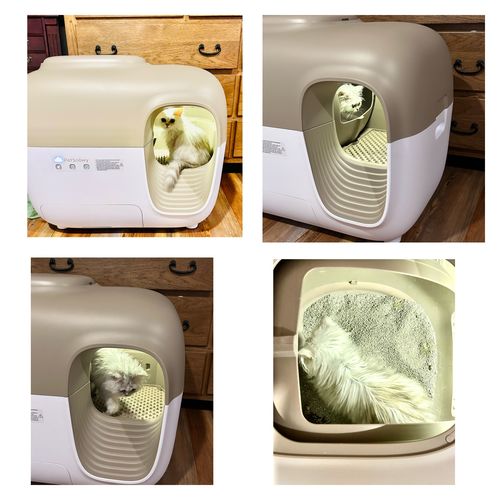 Customer video review of Self-Cleaning Litter Box