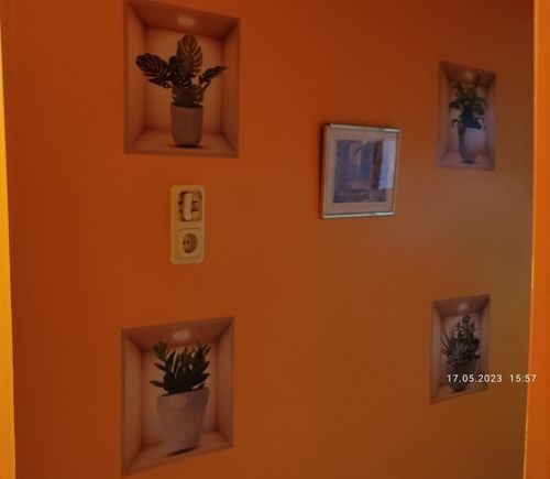 Customer photo review of Awesome 3D Wall Waterproof Decor Stickers! (Pack Of 4)