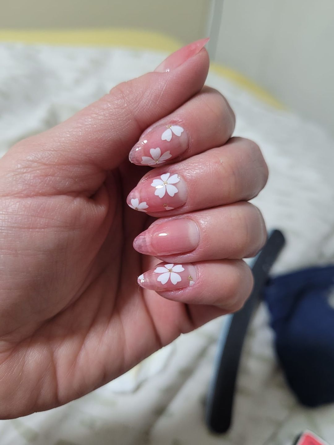 Customer photo review of Cherry Blossom