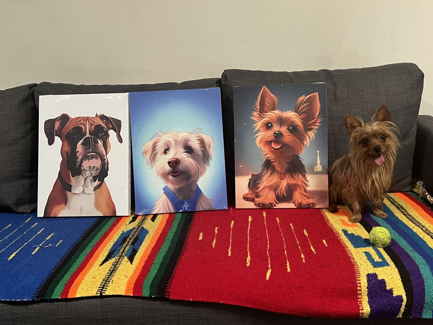 Customer photo review of Custom Pet Portrait