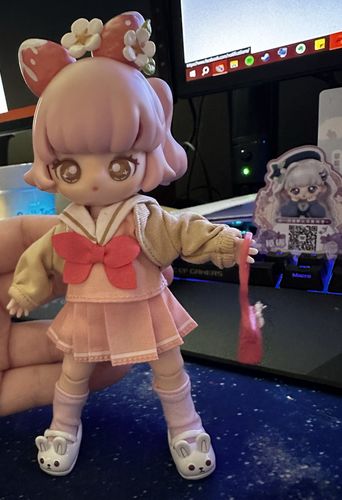 Customer photo review of Teennar Pink Early Summer BJD Series Blind Box