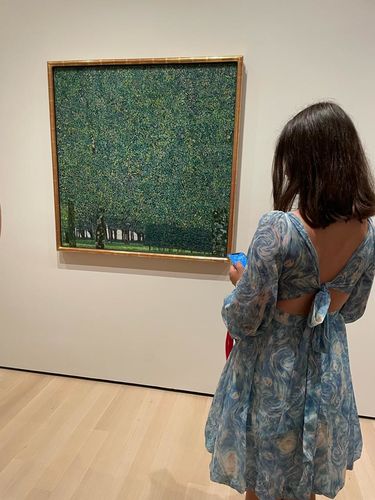 Customer photo review of Starry Night short fairy dress