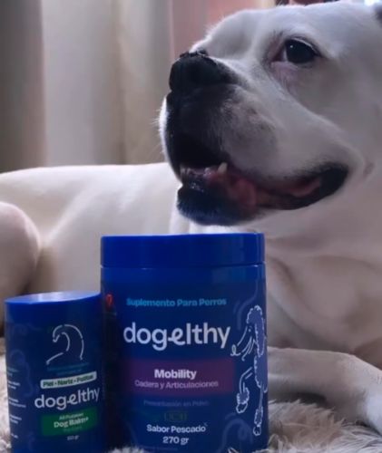 Customer photo review of Mobility. Suplemento para Perro Auxiliar de Articulaciones y Cartílago Sabor a Pescado de 270g