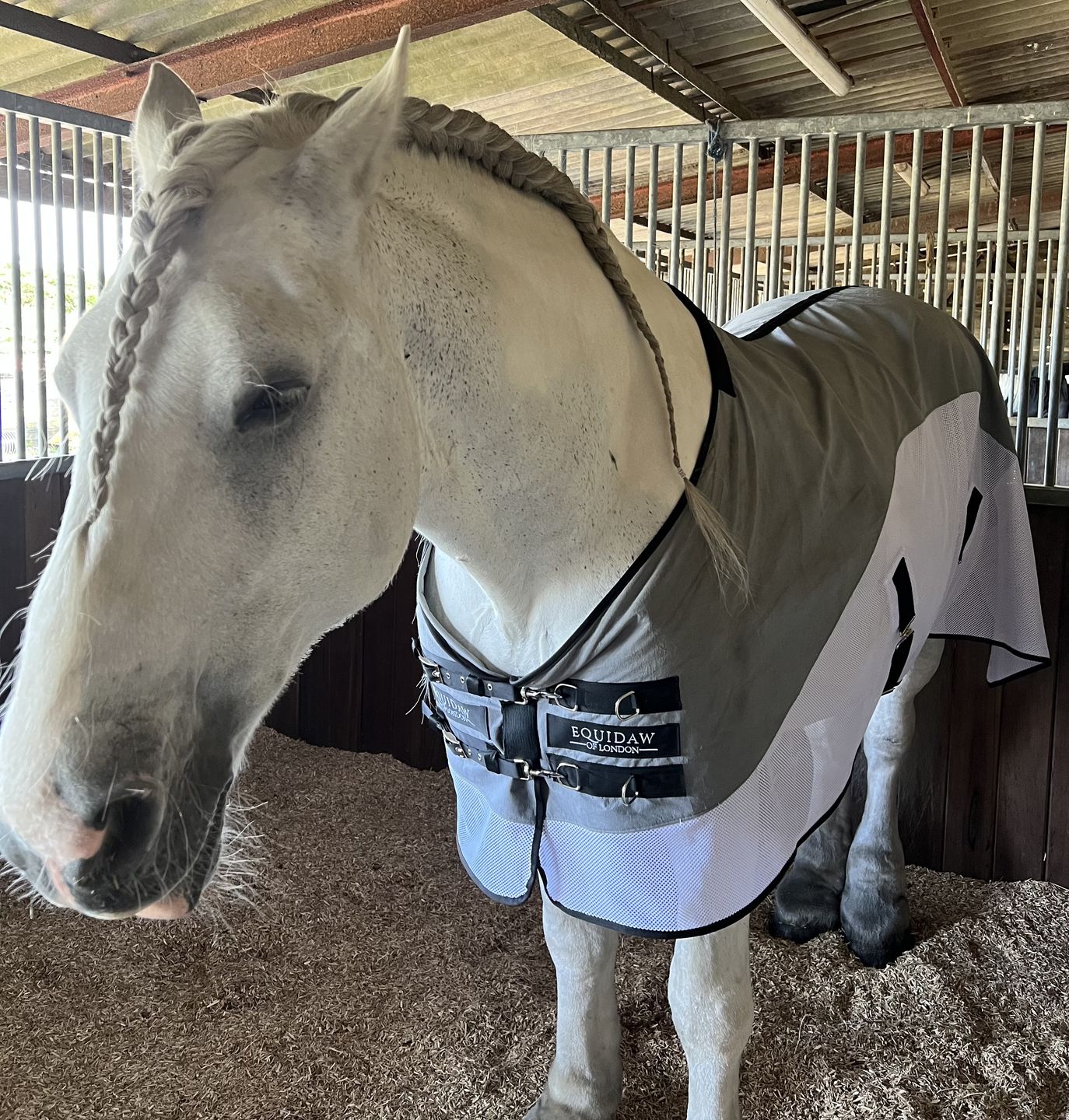 Customer photo review of Luxury Horse Cooling Rug