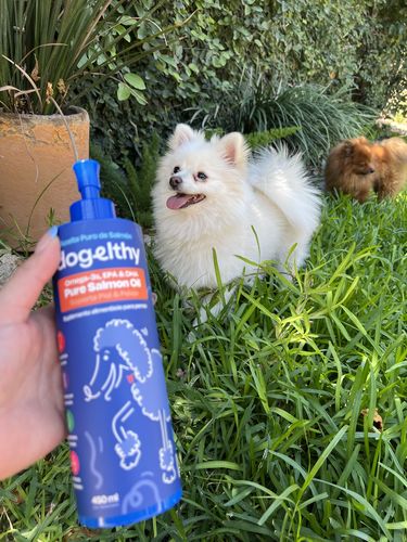 Customer photo review of Pure Salmon Oil. Omega 3 para Perro + EPA & DHA para Mantener Pelaje, Piel y Articulaciones Sanas de 450g