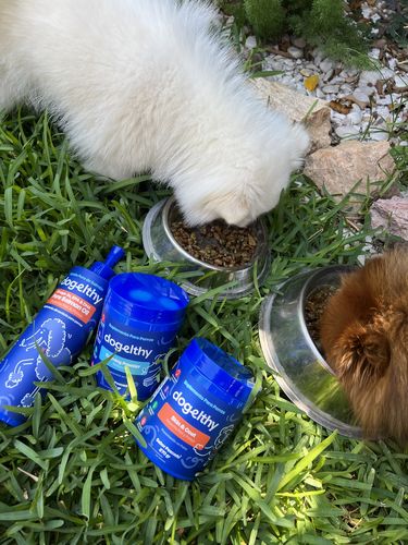 Customer photo review of Calming Powder. Calmante para Perro Natural para Hiperactividad / Estrés Sabor a Pescado de 270g