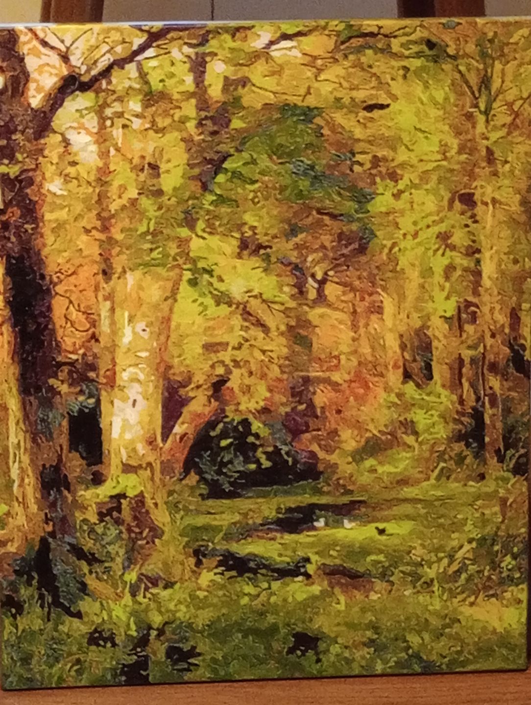 Customer photo review of Forest Scene - Paint by Numbers