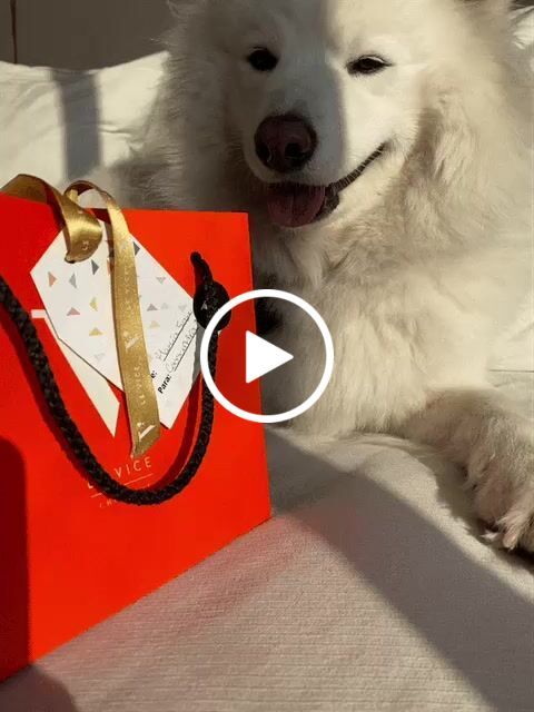 Customer video review of Caja 15 bombones Sin Azúcar