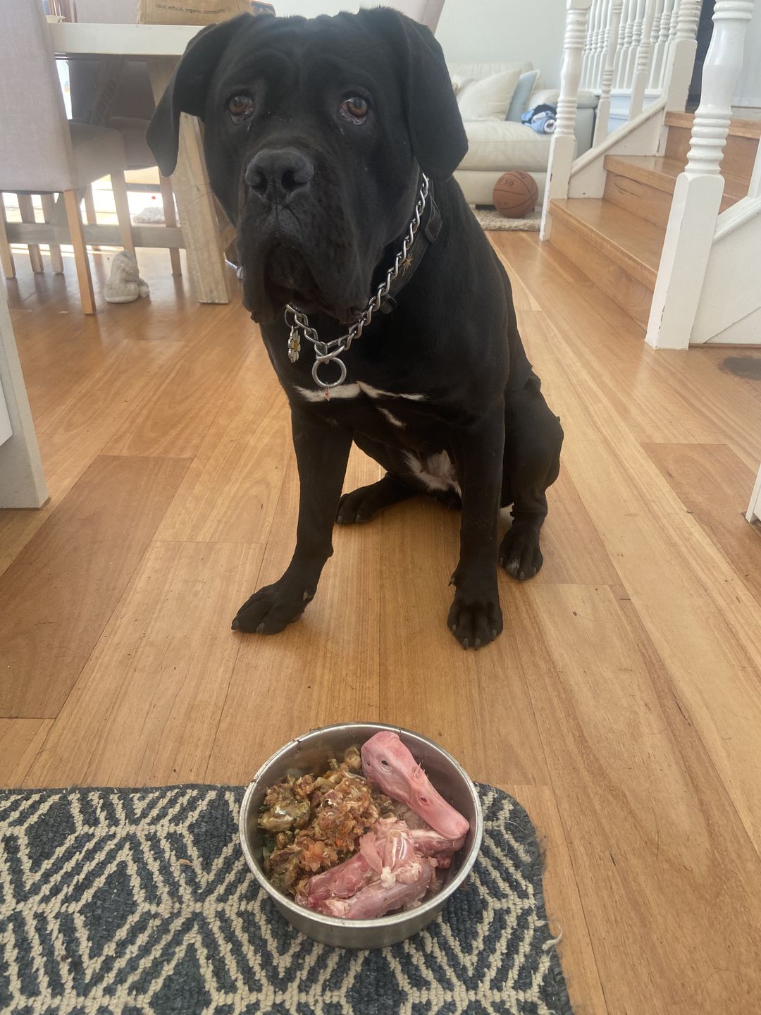 Customer photo review of Duck Heads (5 per Pack)
