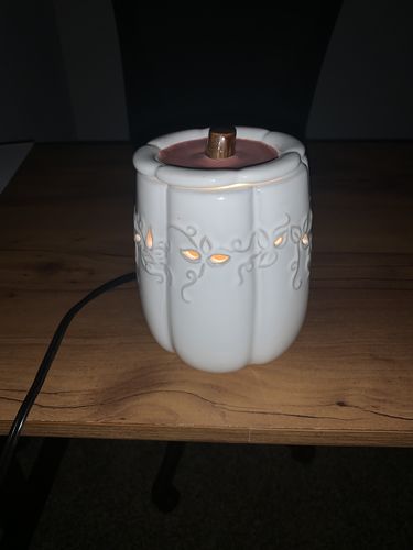 Customer photo review of Warmer: White Pumpkin Illumination