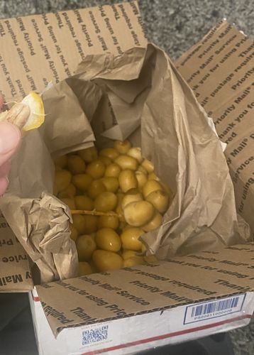 Customer photo review of Organic Yellow Barhi Dates (Khalal Barhi Dates)