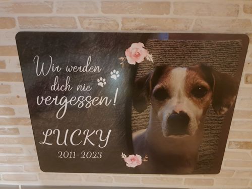 Customer photo review of Hunde Gedenktafel mit Foto & Spruch