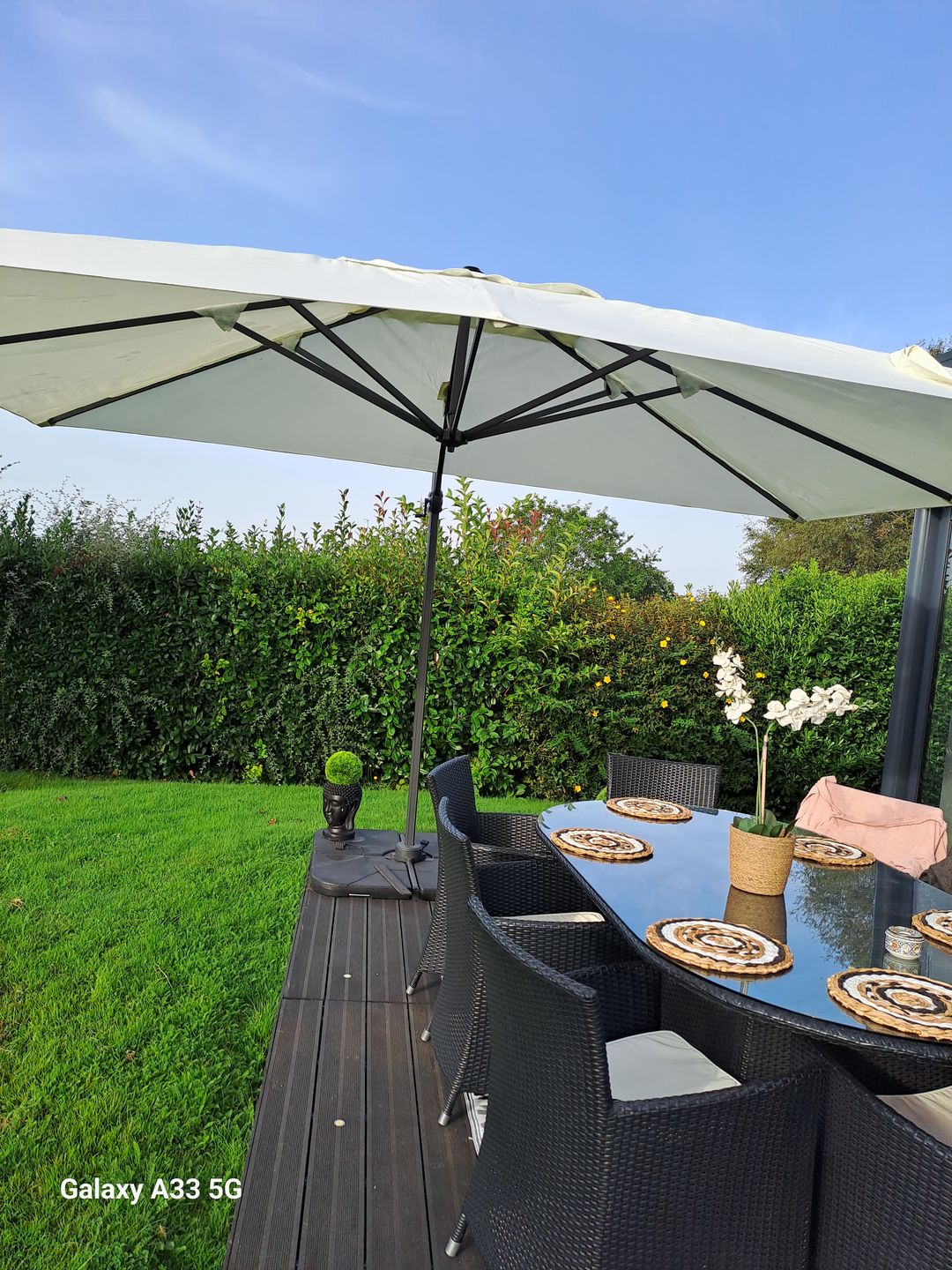 Customer photo review of CESARE