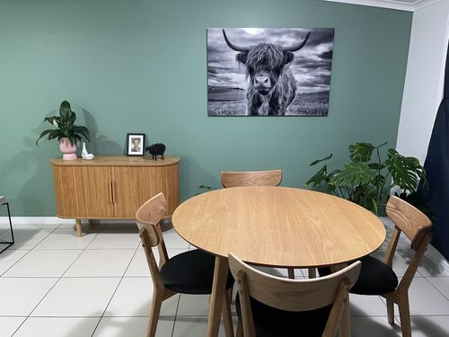 Customer photo review of Stormy the Highland Cow