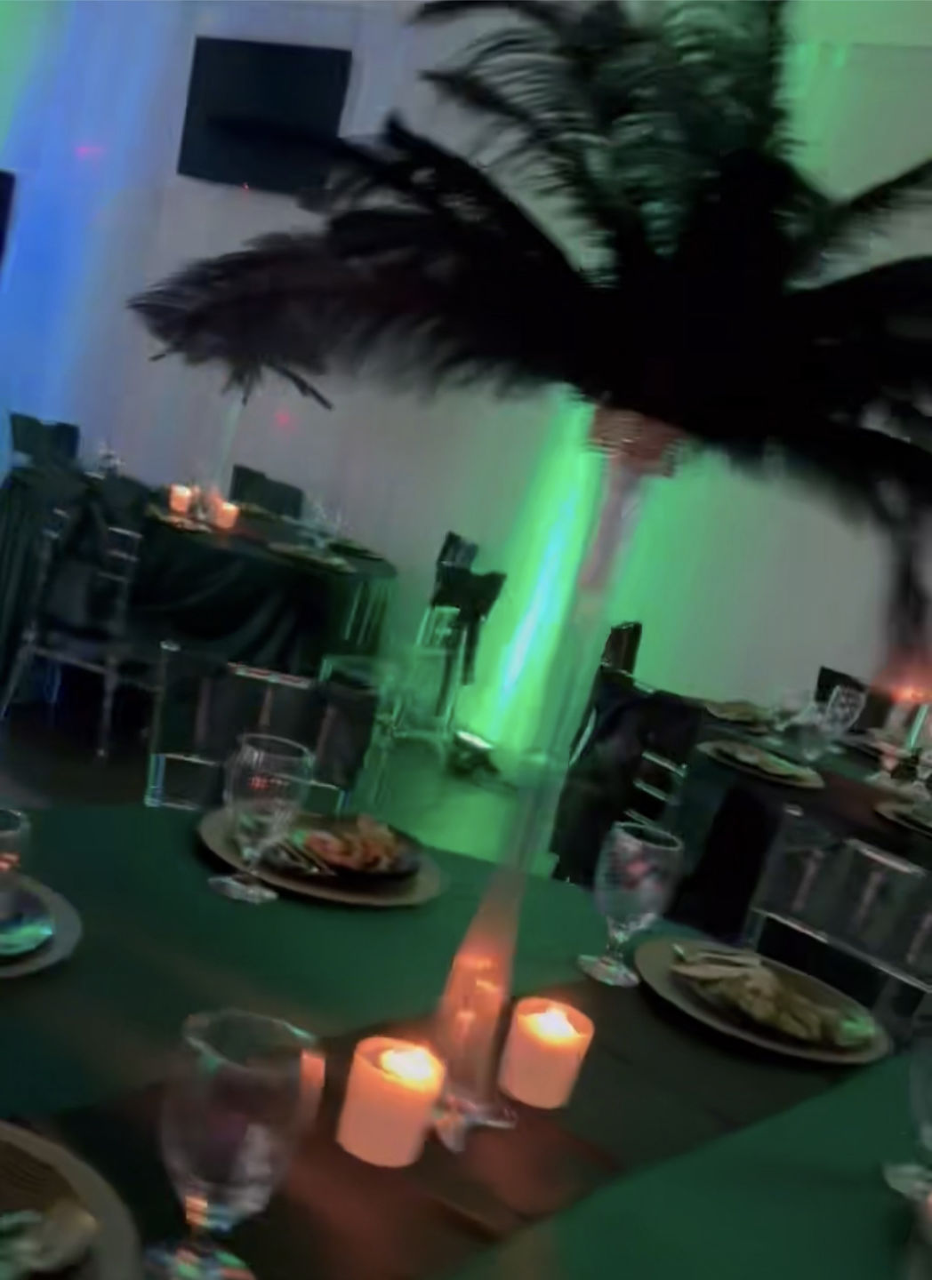 Customer photo review of Complete Feather Centerpiece With 24" Vase (Black)