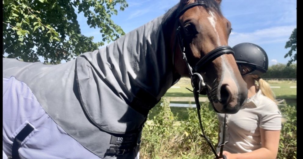 Customer photo review of Luxury Horse Cooling Rug