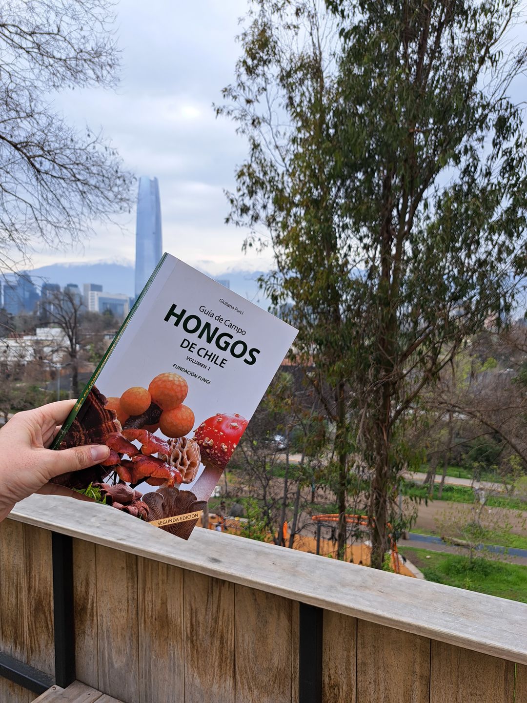 Customer photo review of Guía de Campo Hongos de Chile - Volumen 1 - Segunda edición