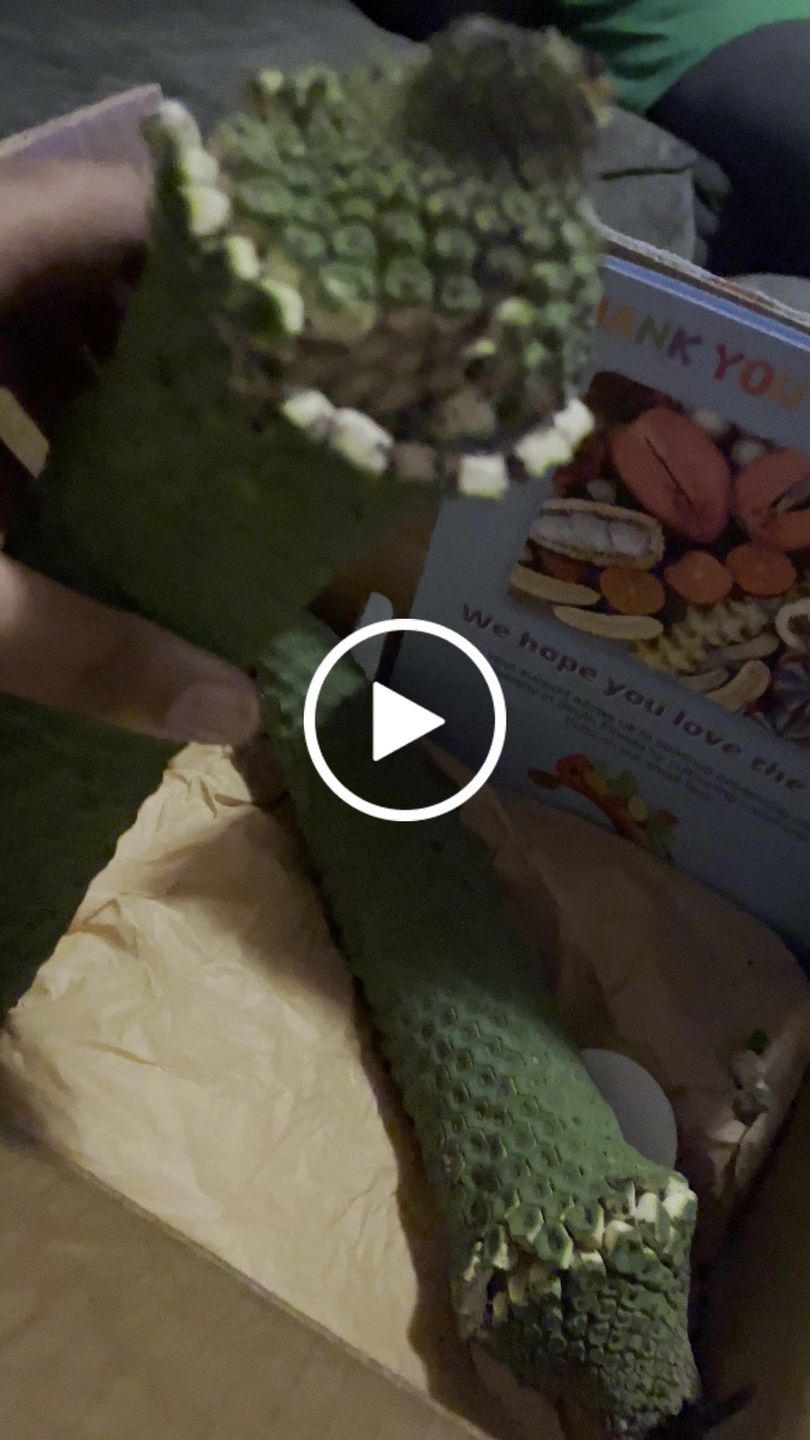 Customer video review of Monstera Deliciosa *Pre-Order*