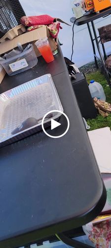 Customer video review of Classic Heavy-Duty Tactical No-Pull Team K9™ Dog Harness With Front & Back D-Rings, Quick-Release Metal-Buckles, Hook & Loop Panels, & Top Handle