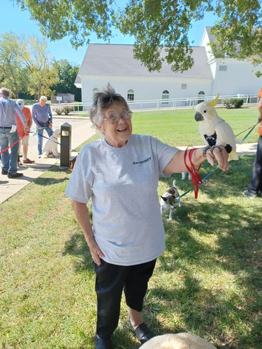Customer photo review of No Pick Bird Spray for Feather Plucking Birds, 8 fl. oz.