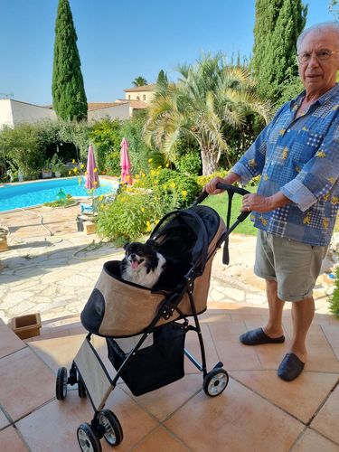 Customer photo review of Poussette pour chien pliable et portable ultra-légère