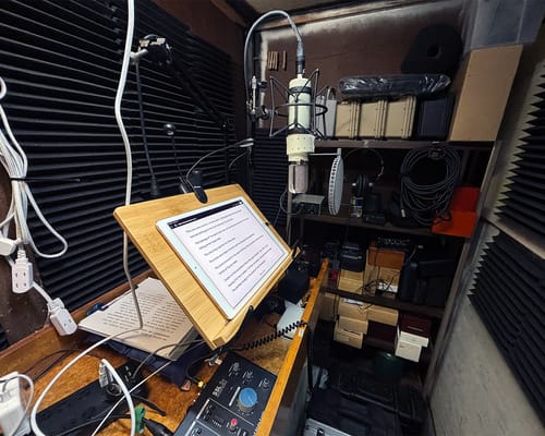 Customer photo review of Aztec • Boutique Tube Microphone