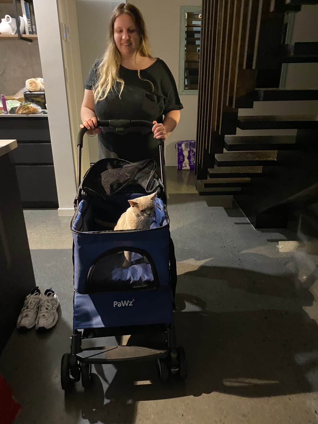 Customer photo review of PaWz Large Dog Stroller Cruiser
