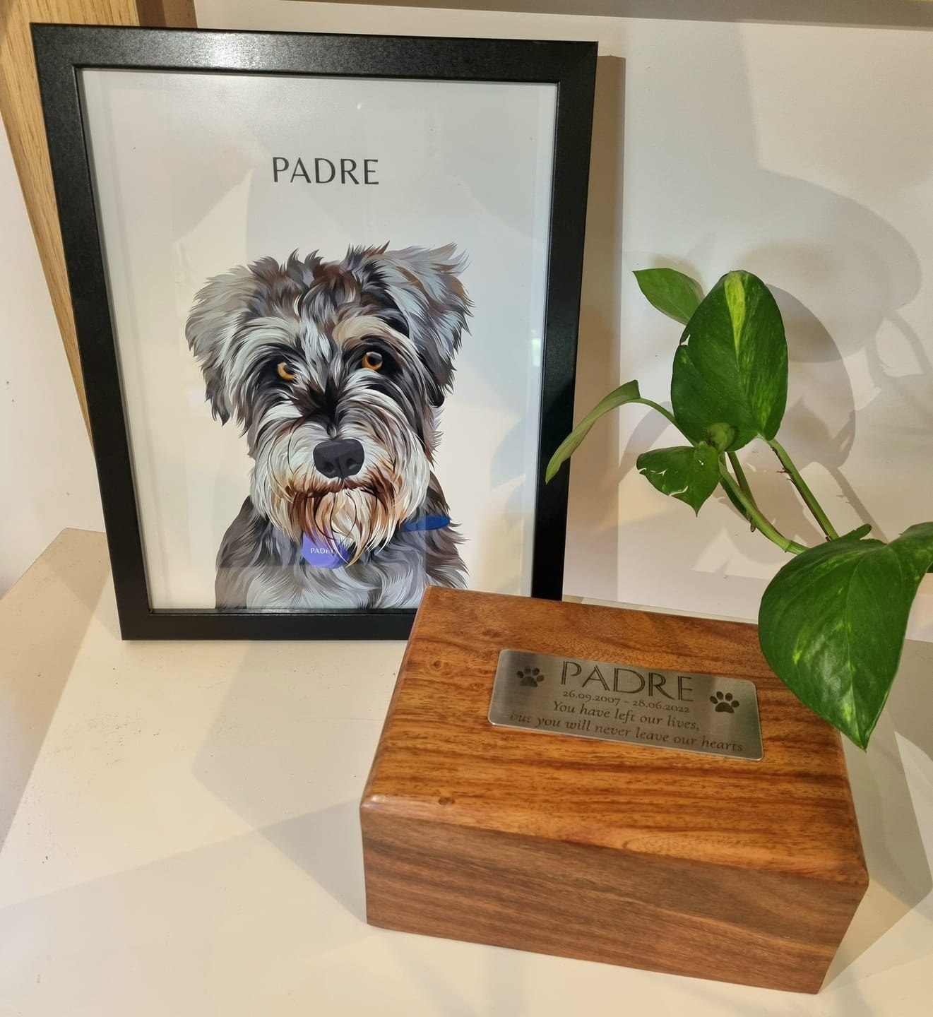 Customer photo review of Custom Pet Portrait (Digital Copy)