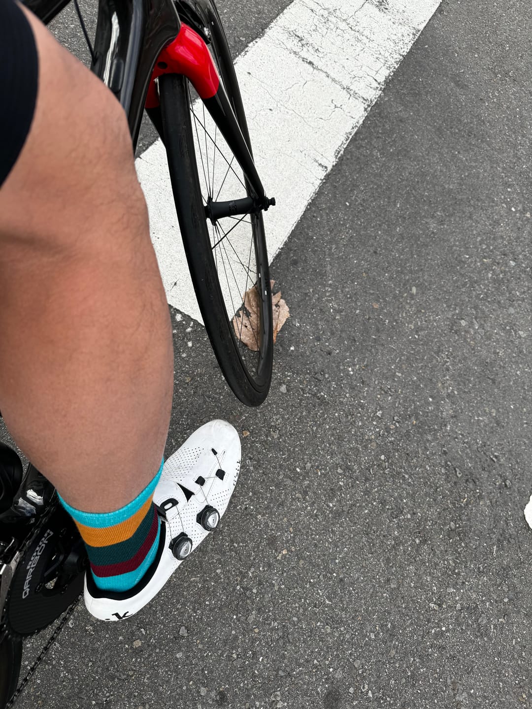 Customer photo review of Swans merino wool striped 美麗諾羊毛襪