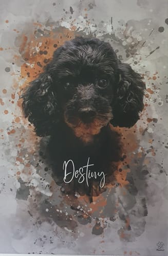 Customer photo review of Aquarell Pawtrait