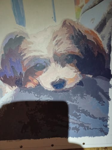 Customer photo review of Personligt Siffermålnings Kit