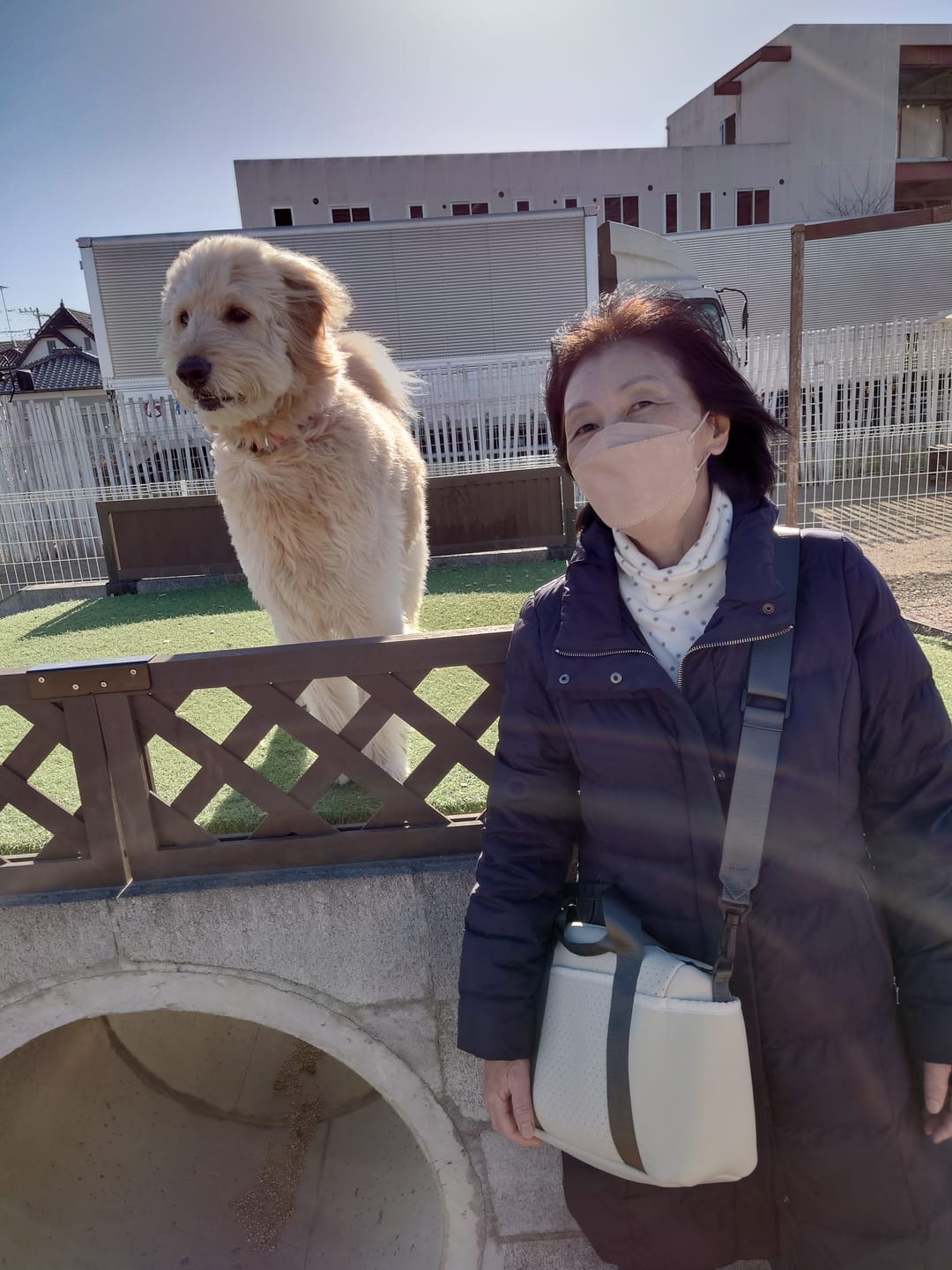 Customer photo review of マイラ 犬のお散歩バッグ