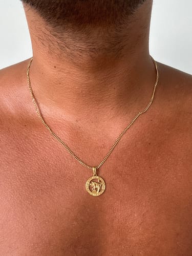 Customer photo review of Taurus