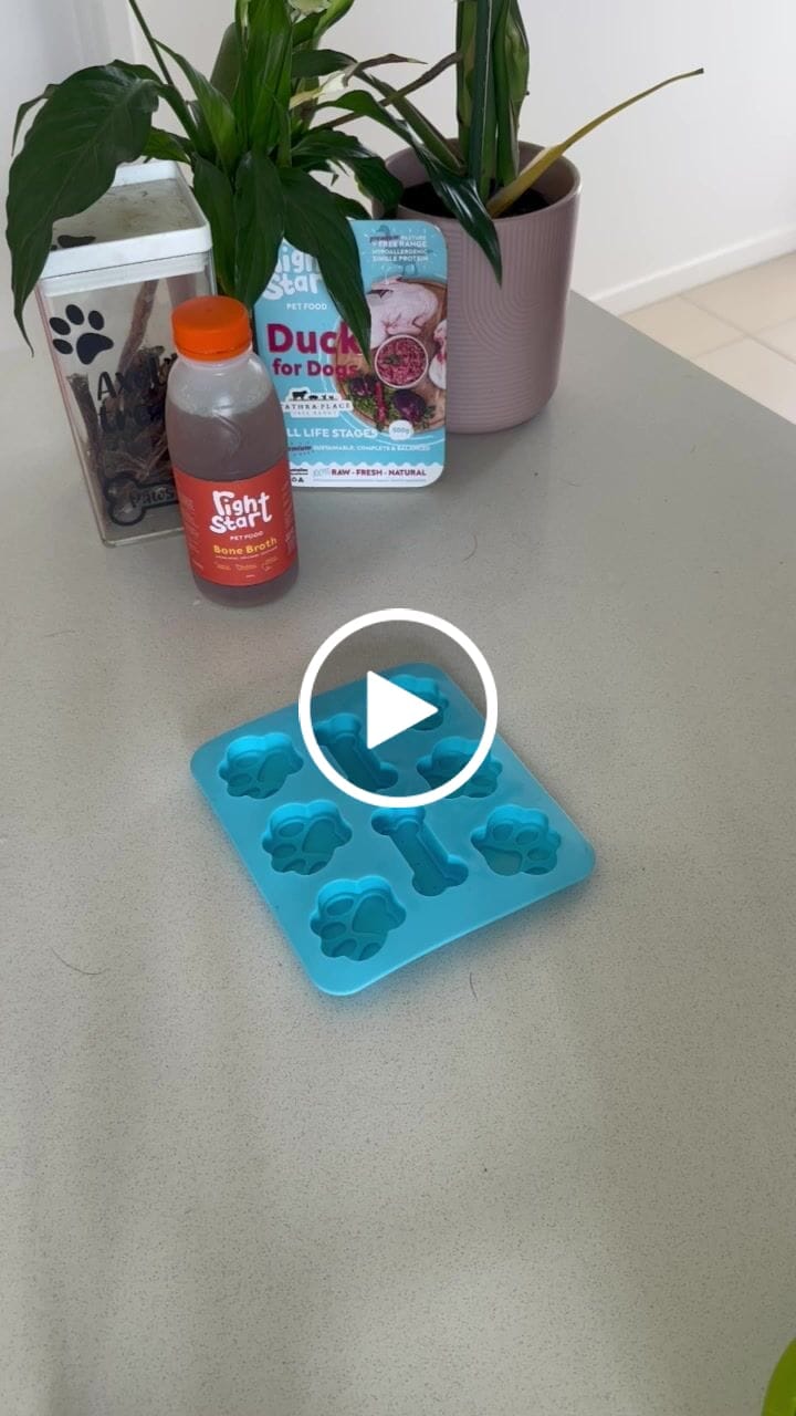 Customer video review of Bone Broth for Dogs & Cats