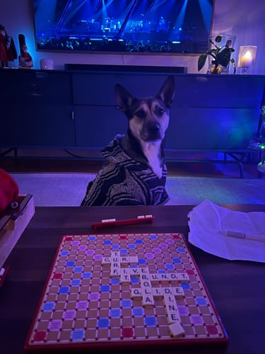 Customer photo review of Playa Poncho - Surprise Color