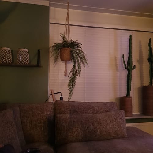 Customer photo review of Varen Kunst Hangplant 110cm