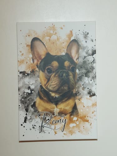 Donna B. review of Your Pet as Watercolor Portrait image 1 out of 1