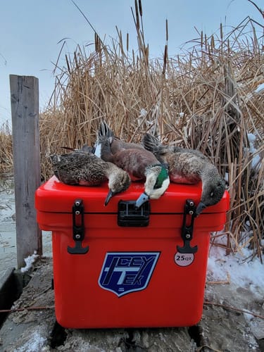 Customer photo review of ICEY-TEK 25 Quart Cooler