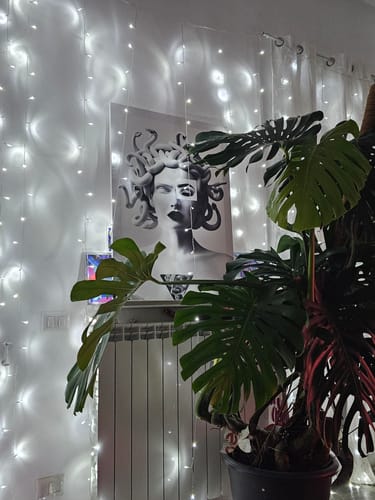 Customer photo review of Medusa W/ David