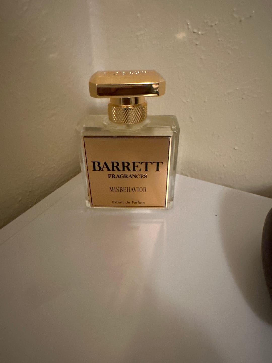 Customer photo review of Misbehavior inspired by Good Girl Gone Bad