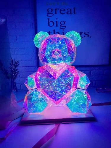 Customer photo review of The Galaxy Bear™