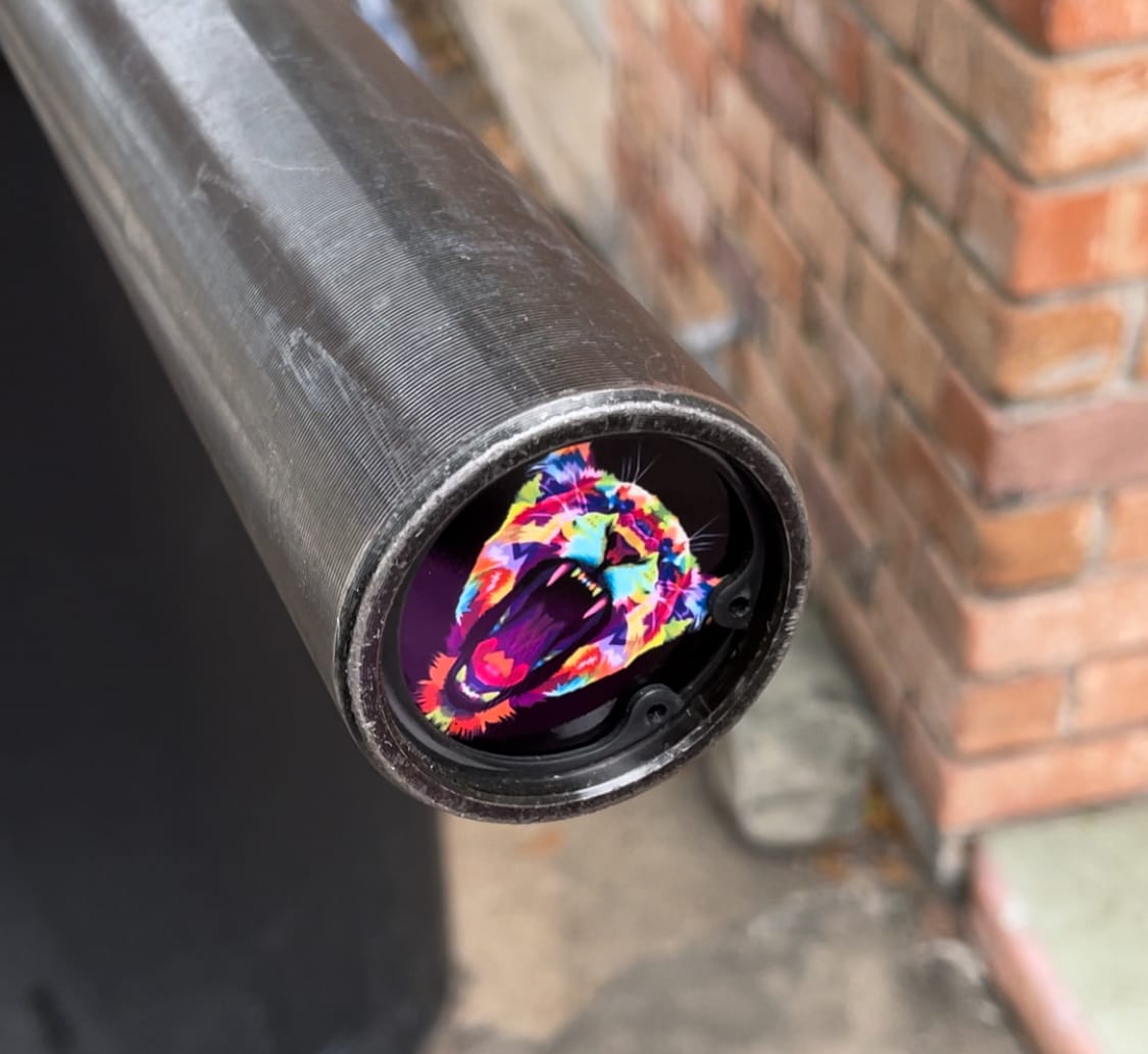 Customer photo review of The Lioness  Spirit Barbell End Caps