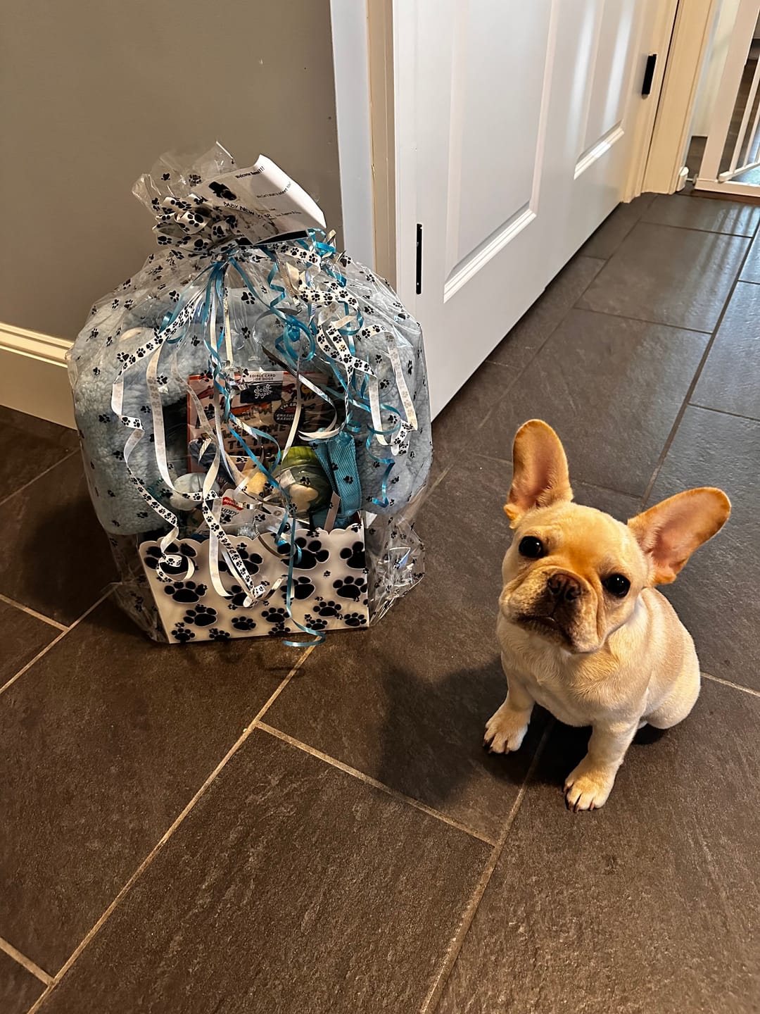 Customer photo review of New Puppy Gift Basket