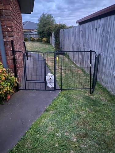 Customer photo review of PaWz 8 Panel Pet Dog Playpen
