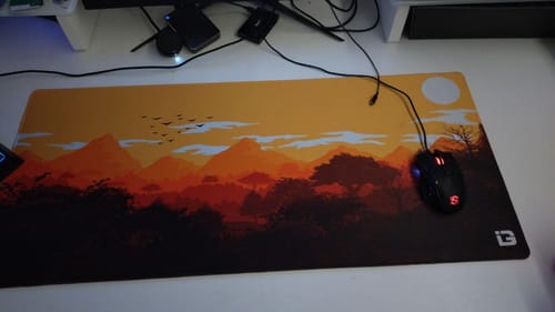 Customer photo review of Gulls - Sunrise