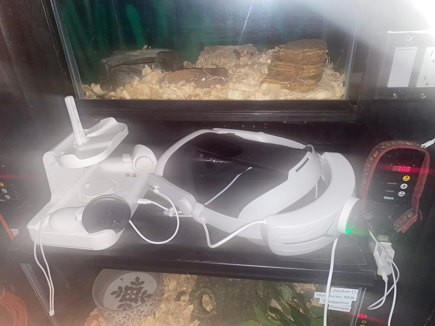 Customer photo review of Quest 3 Charging Dock